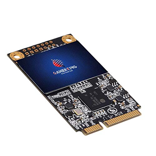 GAMERKING SSD msata 240GB Internal Solid State
