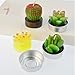 mifengda 12 PCS Cute Succulent Cactus Candles Smokeless Cactus Tealight Candles Delicate Decorative Candles for Valentine's Day Birthday House-Warming Party Wedding Spa Home Decoration Gifts