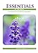 Essentials of the Earth : (without testimonials) An encyclopedia of oils, blends and applications