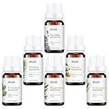 Levoit Essential Oils Set for Diffuser, Humidifiers, Massage, Skin & Hair Care, Top 6 100% Pure Aromatherapy Oils Gift Kit, 6/10ml (Lavender, Eucalyptus, Tea Tree, Orange, Peppermint and Lemongrass)
