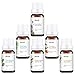 Levoit Essential Oils Set for Diffuser, Humidifiers, Massage, Skin & Hair Care, Top 6 100% Pure Aromatherapy Oils Gift Kit, 6/10ml (Lavender, Eucalyptus, Tea Tree, Orange, Peppermint and Lemongrass)