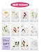 [New Upgraded] Innisfree Mask It's Real Squeeze Mask, now called My Real Squeeze Mask(Natural Cellulose Beauty Korean Face Sheet Masks 11pcs Custom Packaged in FACIAL-MASK Gift Pack)