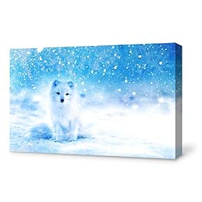 SIGNFORD Canvas Wall Art for Living Room,Bedroom Home...
