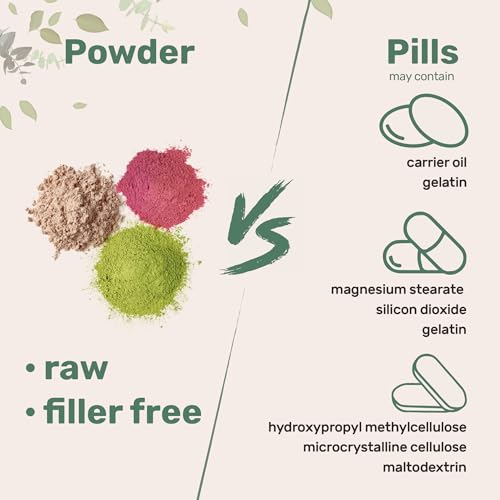 Micro Ingredients Organic Mega 10 Mushroom Complex Powder for Immune System Booster, 10 Ounce (284 Grams), Chaga Mushroom, Lions Mane, Turkey Tail, Cordyceps, Reishi Mushroom