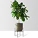 Mid-Century Metal Plant Stand, Weather Resistant, Indoor and Outdoor Planter Stand – Large (13.5″L X 13.5″W X 18″H)thumb 1