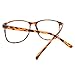 Panto Oversized Thin Frame Nerd Fashion Glasses Havana