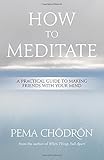 How to Meditate: A Practical Guide to Making Friends with Your Mind