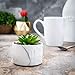 Porcelain Glossy Marble Vase + The Fake Potted Plants Stunningly Realistic Vibe┃Pre-Filled Fake Succulent Plants in Pot┃Fake Desk Plant is Perfect for Sprucing Up The Bathroom