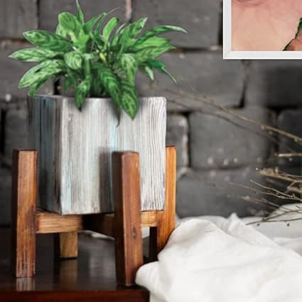 Soulspiti Asmi Ice Blue Organizer Plant Stand Flower Pot Stand for Home Living Room Outdoor Indoor Wall Plants