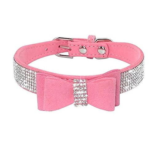 studded cat collar