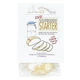Breadtopia Sourdough Starter (Live)