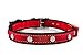 LED Dog Collar for Pet Safety. Money Back Guarantee. Flashing Dog Collar with LED 