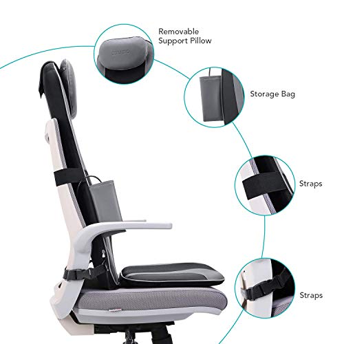 naipo lumbar support