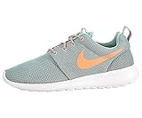 Nike Women's Roshe One Running Shoe