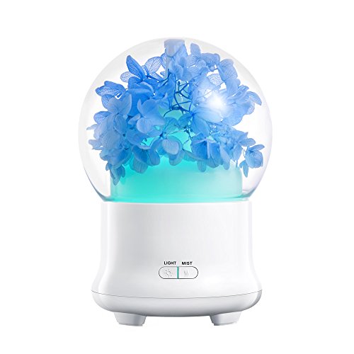Preserved fresh flower aroma diffuser essential oil coo…