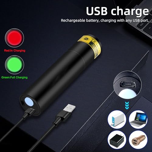 TERRIFI UV Flashlight 365nm - Portable Rechargeable Mini Blacklight LED Ultraviolet Light for Detecting Pet Urine Stains, Fluorescent Material, Money and Amber