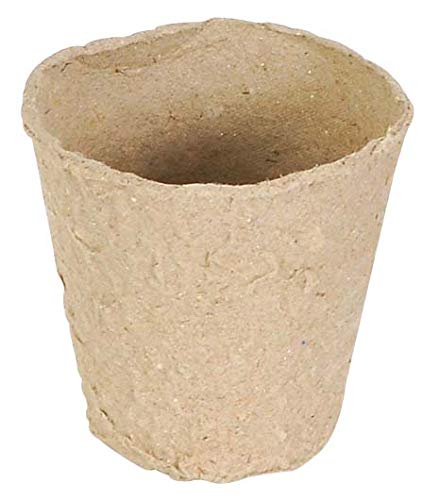 Verdemax 2319 6 x 5.5 cm Biodegradable Pots (12-Piece)