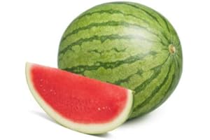 Bristol Farms, Seedless Watermelon, 1 Count