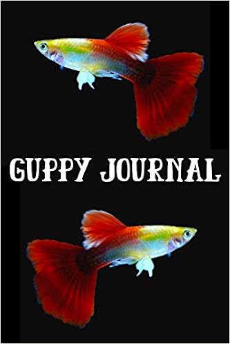 guppy fish for sale online