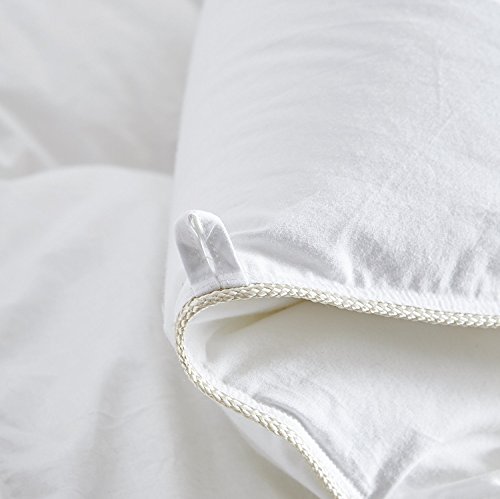 Egyptian Bedding All-Season Queen Size Luxury Siberian Goose Down Comforter Duvet Insert 750FP 1200 Thread Count 100% Egyptian Cotton (Queen, White Solid)
