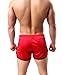 Powerhouese Men's Mesh Short
