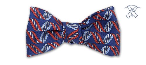 Josh Bach Mens DNA Strand Self-Tie Silk Bow Tie Blue, Made in USA