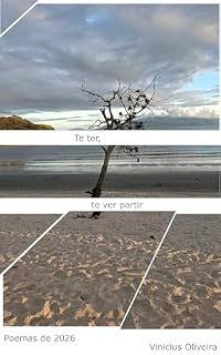 Livro Te ter, te ver partir: Poemas de 2006