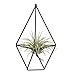 1 PCS Rustic Wall Mount Hanging Irregular Pentagon Geometric Metal Tillandsia Air Plants Holder Rack Black Wall Accent Decor (Black)