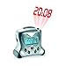 Oregon Scientific RM313PNA Self-Setting Projection, Silver Desk Clock, One Size
