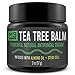 M3 Naturals Tea Tree Balm Infused with Almond Oil and Stem Cell Powerful All Natural Antifungal Cream for Eczema Athletes Foot Jock Itch Nail Fungus Skin Care Yeast Infections Irritation Anti Fungalthumb 3