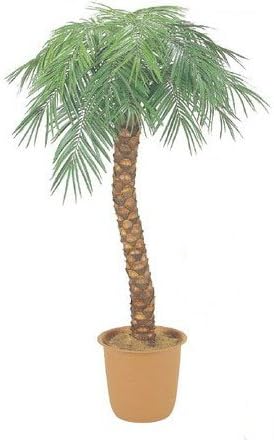 Amazon 人工観葉植物 フェニックスパームツリー ヤシの木 高さ約170cm 10号鉢 人工観葉植物 オンライン通販