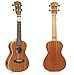 Tenor Ukulele Bundle, Deluxe Series by Hola! Music (Model HM-127MG+), Bundle Includes: 27 Inch Mahogany Ukulele with Aquila Nylgut Strings Installed, Padded Gig Bag, Strap and Picks