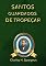 Livro Santos Guardados De Tropeçar