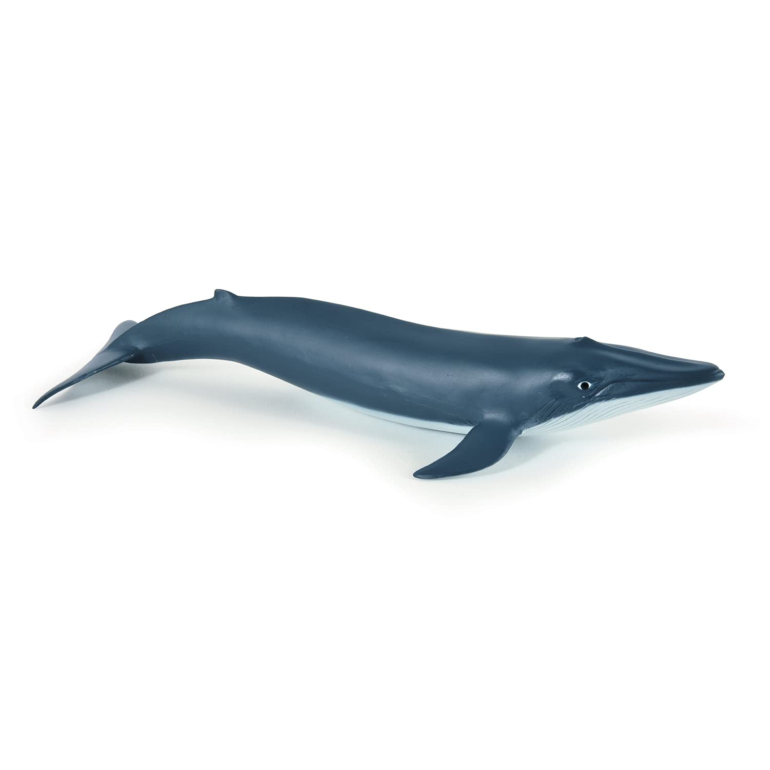 Papo - Realistic Baby Blue Whale Figure - Ages 3+ - Marine Life Collection - Educational Play Young Marine Mammals - Gift Idea Toy for Girls and Boys