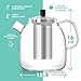 Glass Tea Kettle for Stove Top, Borosilicate Tea Pots with Infusers for Loose Tea, Clear Teapot with Stainless Steel Strainer, Makes 5 Tea Cups, 44oz