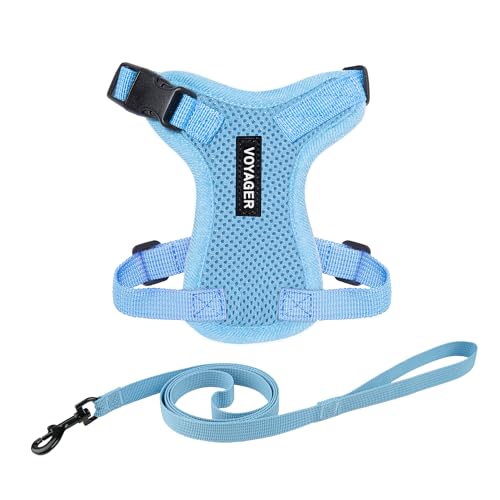 Voyager Step-in Lock Cat Harness and Reflective Cat Leash with Neoprene Handle by Best Pet Supplies - Supports Small, Medium and Large Breed Cats, Baby Blue, size S - 5ft