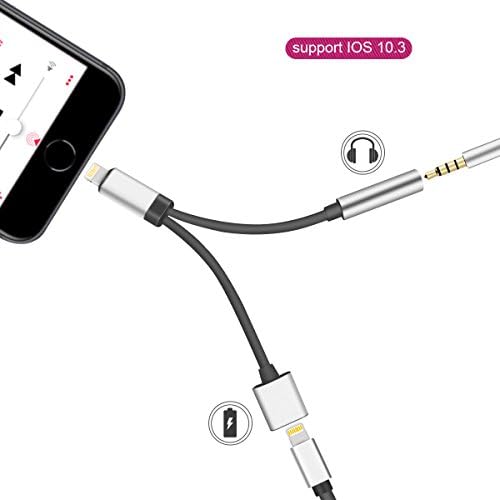GPDSTAR iPhone Adapter,2 in 1 Lightning Charger and Adapter Cable with 3.5mm Aux Headphone Audio Jack for iPhone X/iPhone 8/iPhone 7 (Silver)