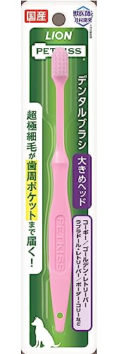 ライオン PETKISS デンタルブラシ 大きめヘッド LIONPET商品画像