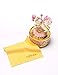 HoneyGifts Luxury Carousel Music Box, Happy Pony Design, for Kids (Pink & Gold)