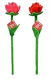 2 Bendable Stuffed Roses 18 Plush Toy Valentines