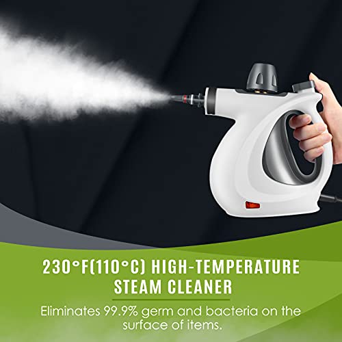 Pressurized Handheld MultiSurface Natural Steam Cleaner with 12 pcs
