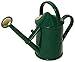 Indoor Plastic Watering Can | The HAWS The Bartley Burbler - Two Pint | Pot Waterer | Fine Spray Rose - Green