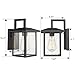 Emliviar Outdoor Wall Light, 1-Light Wall Sconce, Black Finish with Clear Glass, 20064B1
