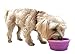 Prima Pet Collapsible Silicone Food and Water Travel Bowl with Clip for Dog and Cat, Small (1.5 Cups)