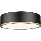 Z-Lite 1018F16-MB-MGLD-LED Bradley - 40W 1 LED Flush Mount-4 Inch Tall and 16 Inch Wide, Finish Color: Matte Black/Modern Gol