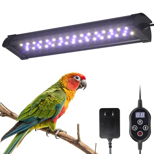 TobeBright Bird Cage Light