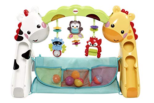 2 Fisher+Price+CCB70+Newborn+to+Toddler+Play+Gym