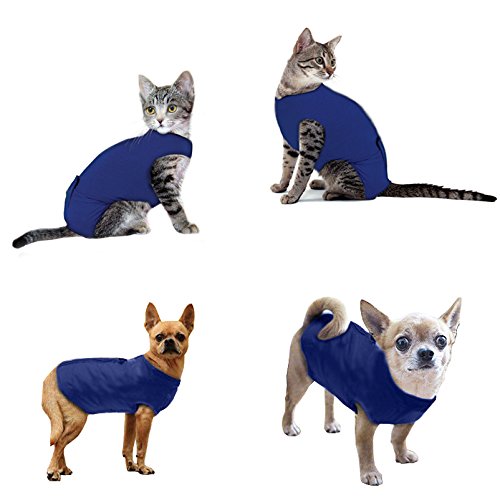 Cat Medical Vest Recovery Suit For Cats and Small Dogs Buy Online