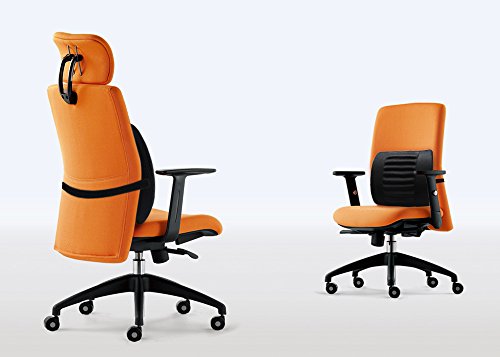 LOCEN Relief Lumbar Muscles Cushion Lower Back Pain Comfort Support Pillow - Perfect for Car Office Chair Home Sofa (Black)