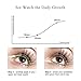 Dreamme Eyebrow Eyelash Serum Growth Eyelash Growth Natural Lash Boost Serum Eyelash Growth Enhancer[Natural ingredients, no side effects, obvious effect]